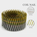 Professional 15degree Coil Nail avec une bonne qualité